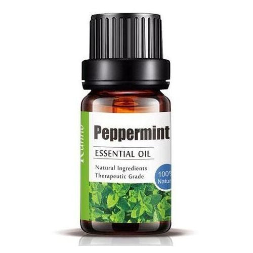 WhatsAppImage2026-03-30at6.24.14PM - Anko Living