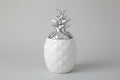 RHAIYAN Porcelain Pineapple Jars | Decorative Ceramic Storage Containers | Luxury Home Accents