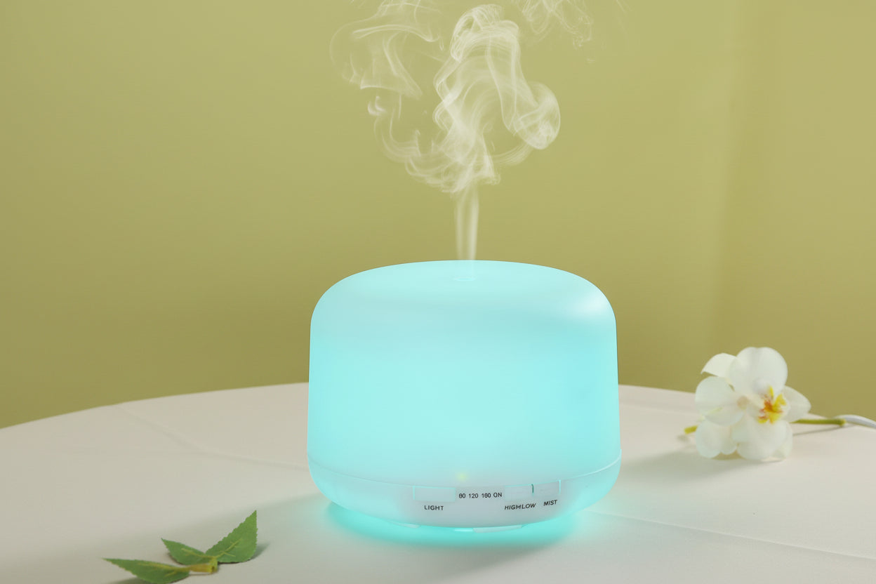 WhatsApp_Image_2026-03-30_at_10.09.27_AM - Anko Living