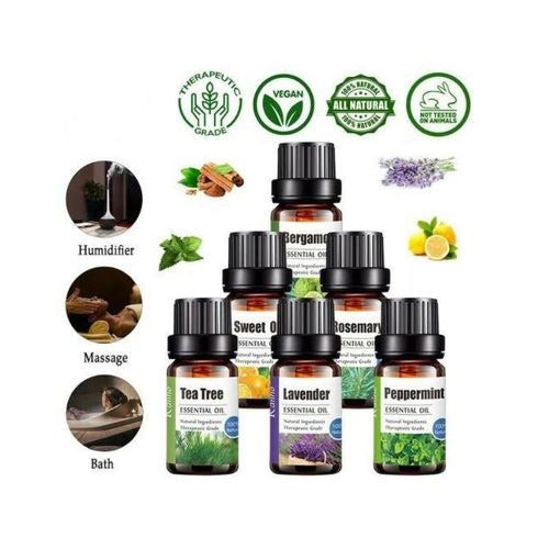 WhatsApp_Image_2026-03-30_at_6.24.46_PM - Anko Living